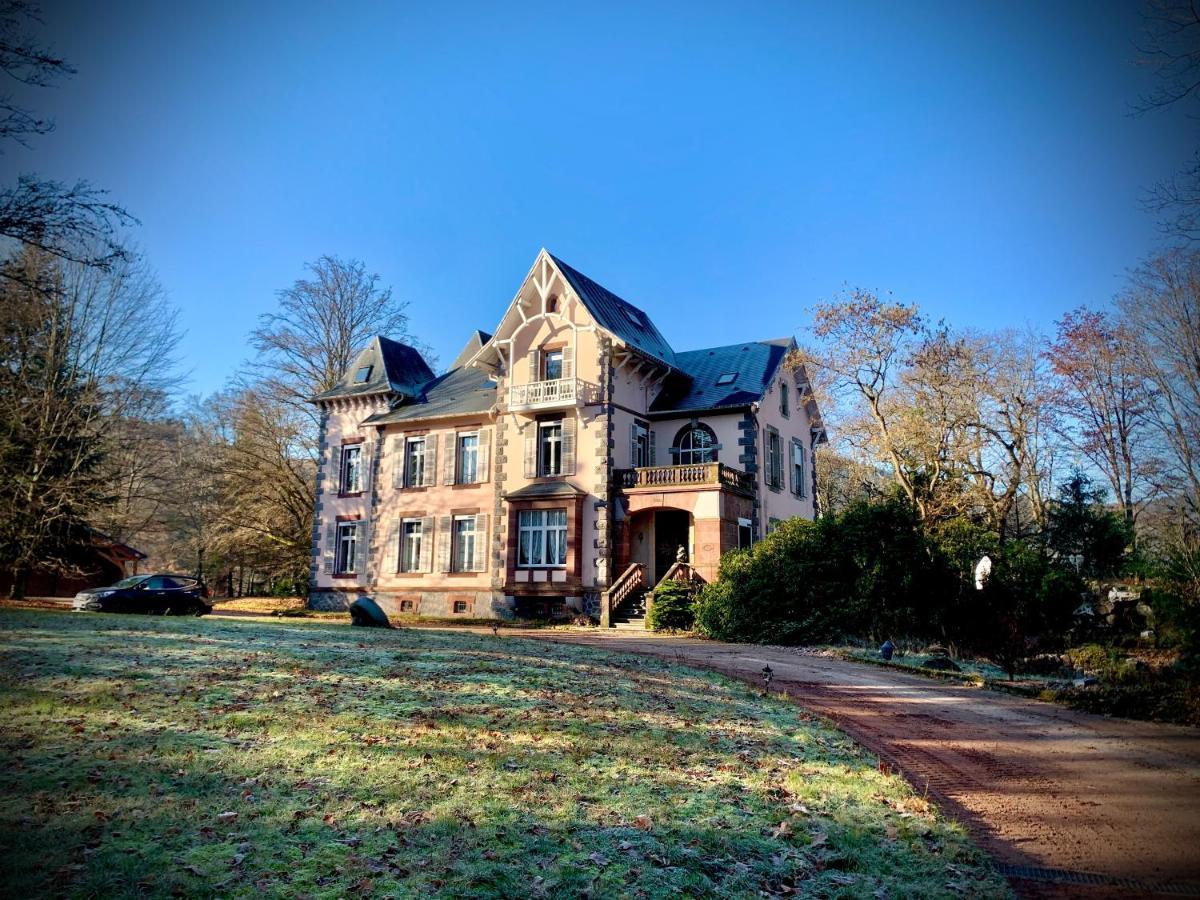 Demoiselle Des Roches Apartment Ramonchamp ภายนอก รูปภาพ
