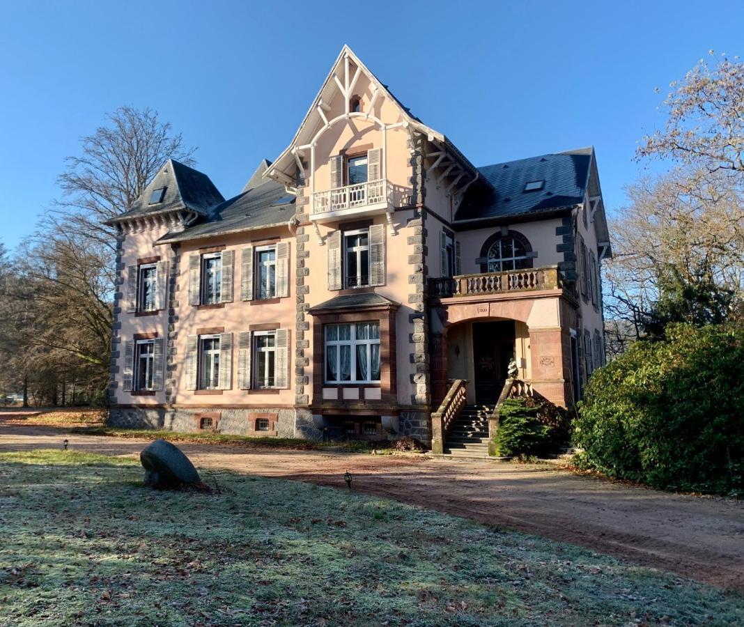 Demoiselle Des Roches Apartment Ramonchamp ภายนอก รูปภาพ