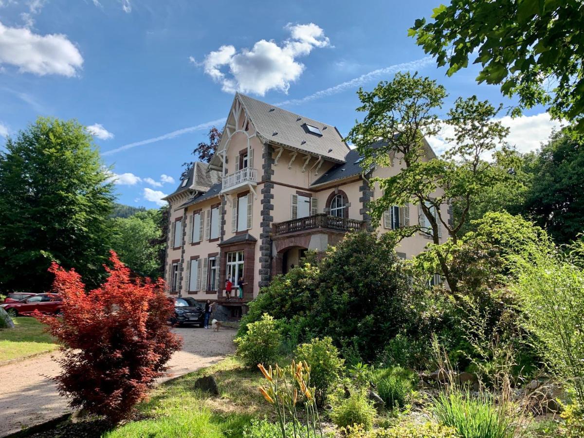 Demoiselle Des Roches Apartment Ramonchamp ภายนอก รูปภาพ