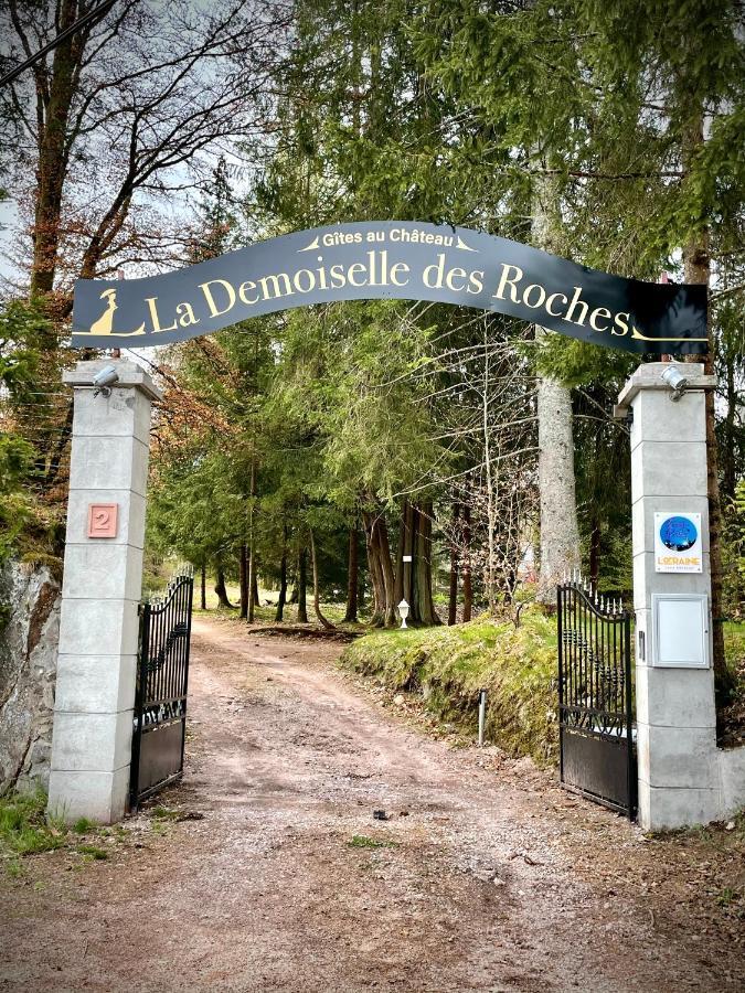 Demoiselle Des Roches Apartment Ramonchamp ภายนอก รูปภาพ
